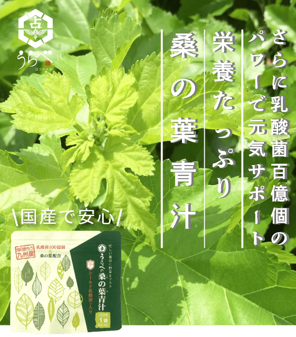 さらに乳酸菌百億個のパワーで元気サポート！栄養たっぷりな桑の葉青汁。国産で安心