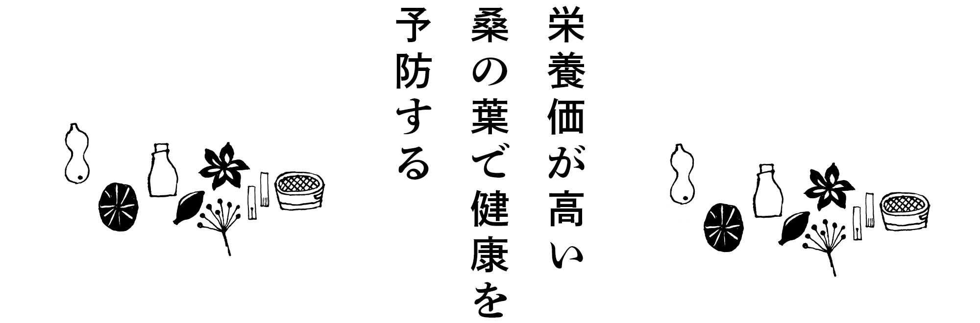 栄養価が高い桑の葉で健康を予防する