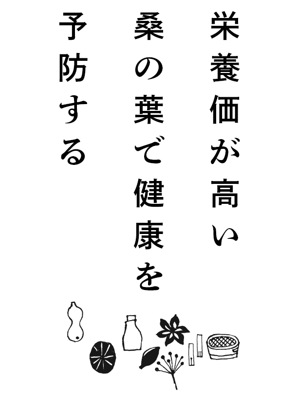 栄養価が高い桑の葉で健康を予防する