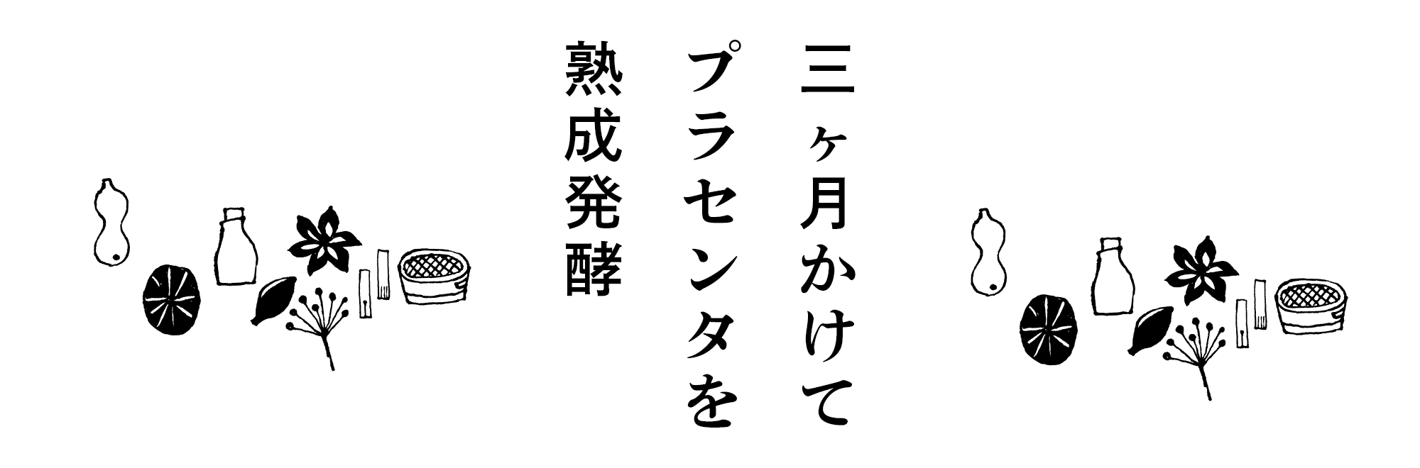 三か月かけてプラセンタを熟成発酵