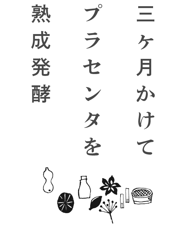 三か月かけてプラセンタを熟成発酵