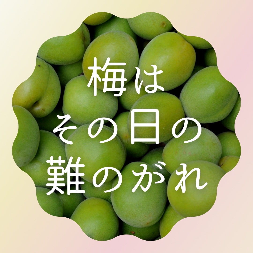 健康コラムタイトル　梅はその日の難のがれ