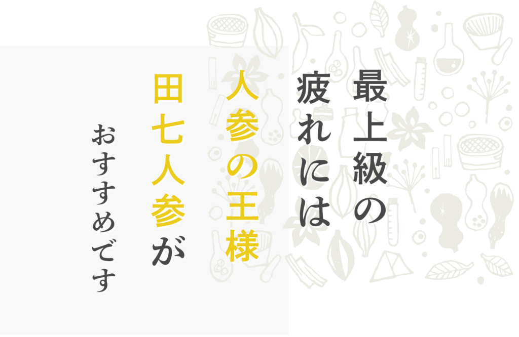 最上級の疲れには人参の王様田七人参がおすすめです