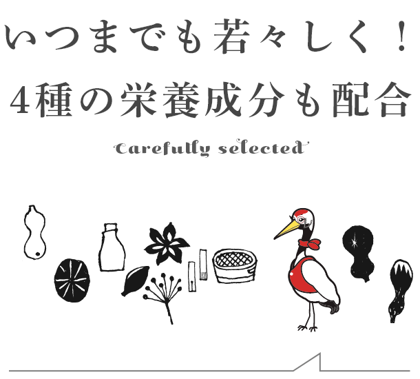 いつまでも若々しく！４種の栄養成分配合